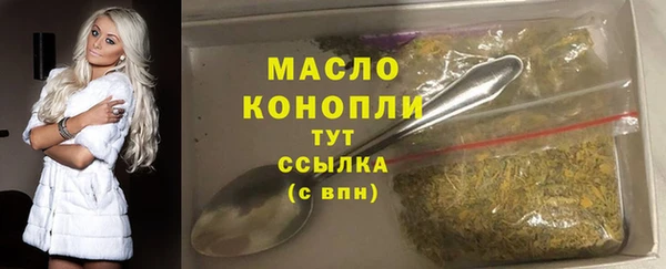 шишки Верея