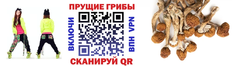 Псилоцибиновые грибы прущие грибы  Хотьково 
