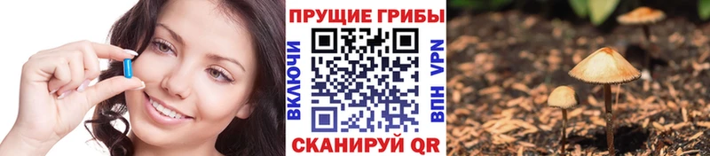 Галлюциногенные грибы прущие грибы Хотьково